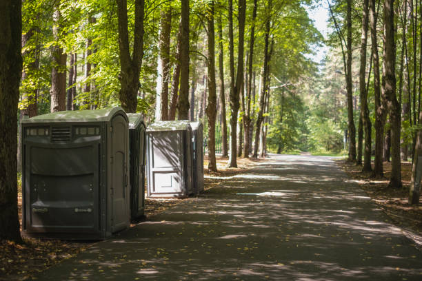 Best Portable bathroom rental  in Petersburg, MI